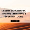 Desert Safari Dubai Timings