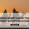 Evening Desert Safari Tour