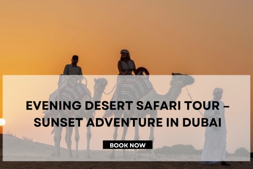 Evening Desert Safari Tour