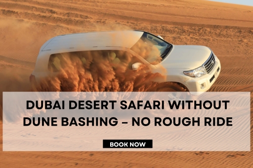 Dubai Desert Safari Without Dune Bashing