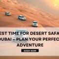 Best Time for Desert Safari Dubai