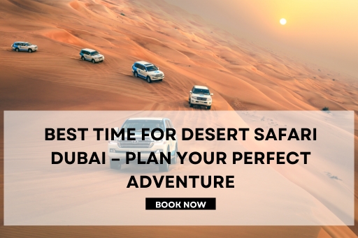 Best Time for Desert Safari Dubai